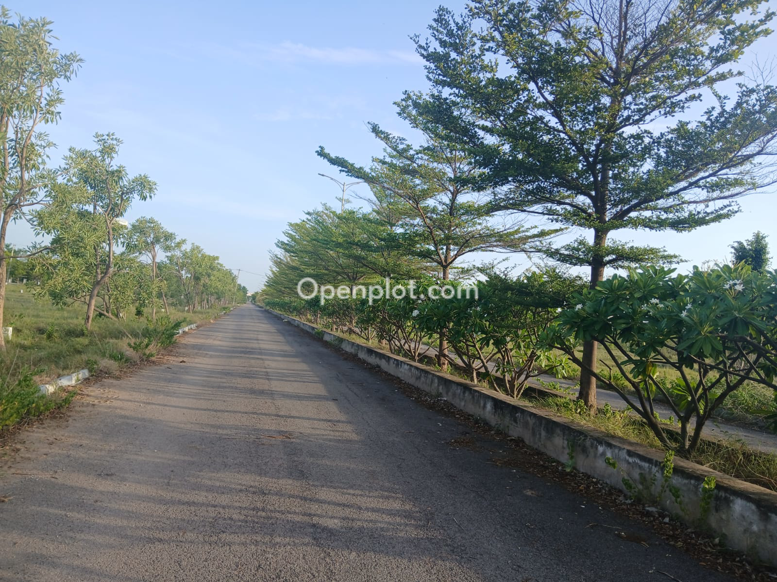 Plot for Sale in Shankarpalli,Ranga Reddy